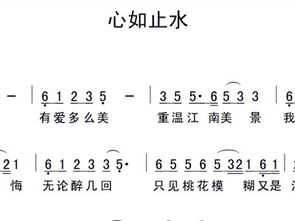 心如止水歌词打印版，心如止水原神版歌词