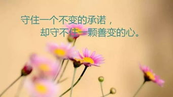 忘掉昨天的烦恼,迎接今天的快乐，忘掉烦恼的句子经典语录