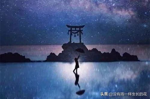 心为你痛过凉过怎么还舍不得歌词，歌曲《错过》