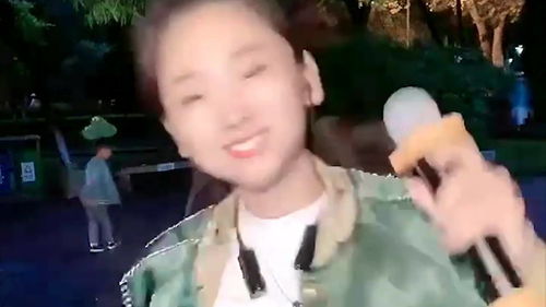 很流行的东北歌,东北味十足的歌