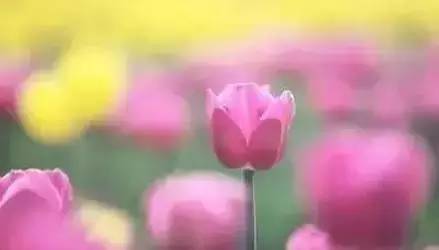 心累的歌曲找一首,表达很累很疲惫的歌曲