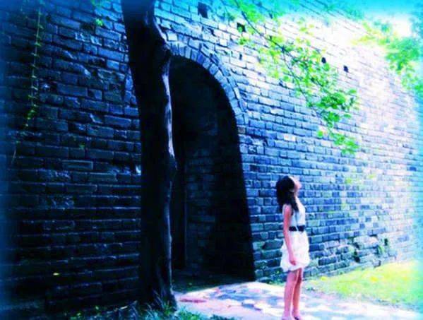 心墙想表达什么意思,心墙很高是什么意思