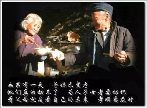 怀念已故父母的歌曲催人泪下歌曲,一首父亲唱哭全场