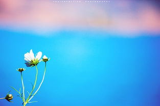 悠闲晒太阳的音乐，悠闲自在的歌曲