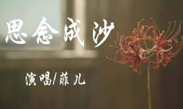 思念成沙的表白是什么,思念成沙代表啥意思