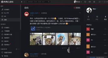 怎么知道自己的听歌风格,网易云怎么看歌曲流派