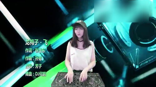 情火(DJ何鹏版),《殇雪》DJ版