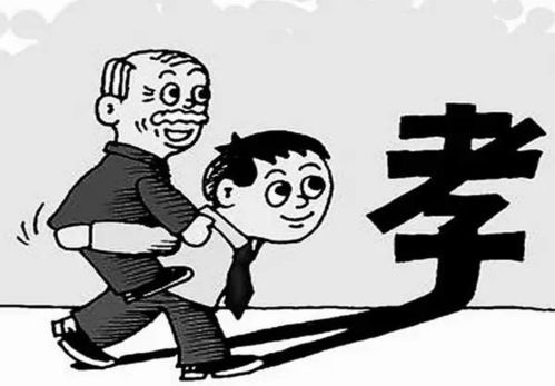 您养育我长大 我陪您到老,您养我小我陪您老的句子