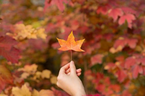 思念亡人的句子，思念离世亲人的句子