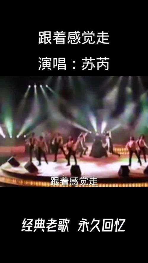 怀旧经典老歌合唱，二人对唱经典老歌