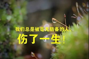 怀念过去人和事的感慨，触景生情怀念旧人的唯美句子