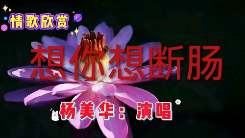 想你想断肠完整版,杨美华的想你想断肠歌词
