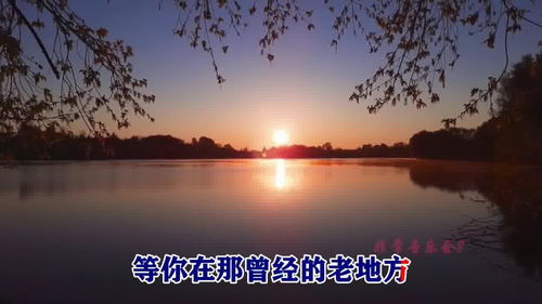 想你的时候只能问月亮的原唱,想你的时候只能问月亮完整版