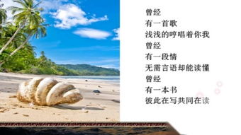 惜别的海岸表达的含义，惜别的海岸背后的故事