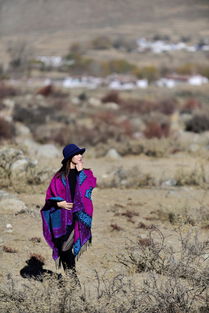 悄悄问圣僧女儿美不美歌词,悄悄问圣僧女儿美不美歌曲