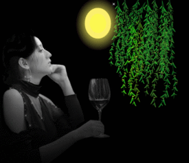 思念和怀念的区别,对活人可以说怀念吗