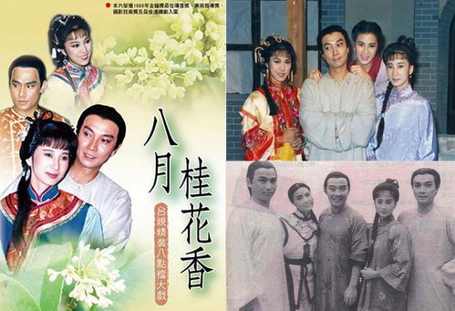 悟了繁华误了你歌词大意,繁华落尽一身憔悴在风里是什么歌