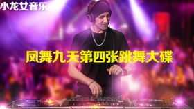 怀旧经典老歌dj版，八十年代最火DJ