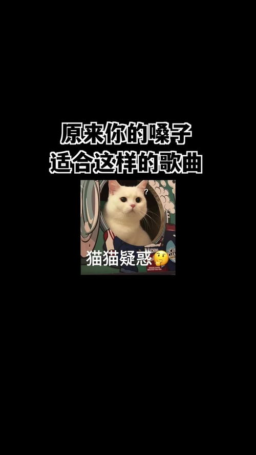 怎么知道自己嗓子适合什么歌,怎么测音色适合什么歌