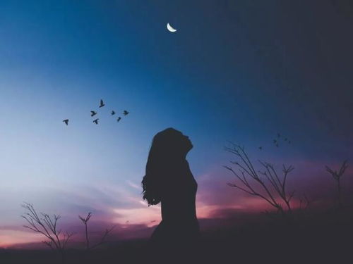 想念一个人却不敢打扰的歌曲,暗示想念某人歌曲