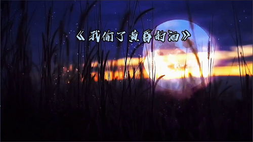 我偷了黄昏的酒歌词,我偷了黄昏的酒最火文案
