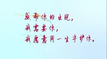 我会用一生去守护你一辈子,守护爱人一辈子的一句话