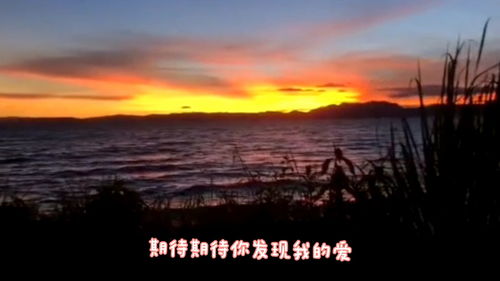 愿你再见我时表达的爱情吗,你说再见这个词是期待还是遗憾