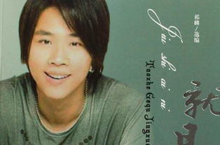 我一直都想对你说歌词，我真的好想对你说歌词