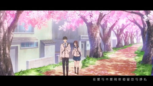 我们能不能不分手花儿乐队,樱花树下的约定柯柯柯啊