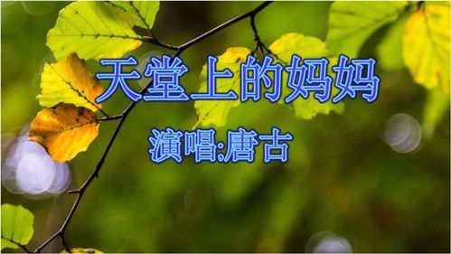 想念妈妈10首歌曲,《天堂上的妈妈》