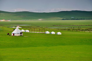我们去大草原的湖边歌词,《带你去旅行》原唱歌词