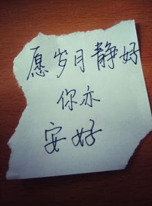 愿你我皆安好歌词含义,愿你我皆安好歌词含义解释