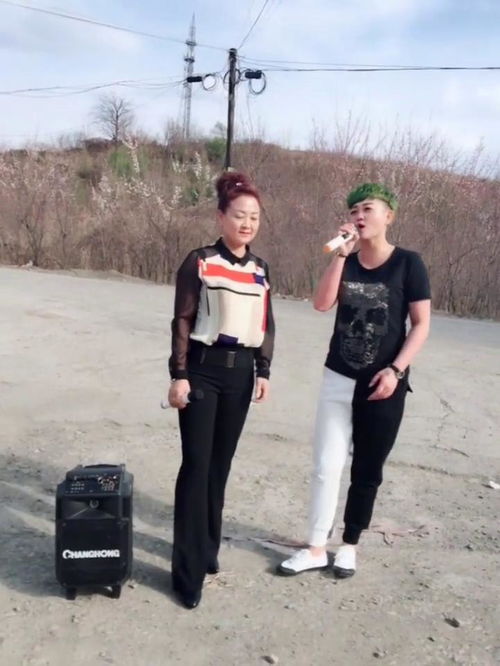 我们俩是情歌吗,我们俩是什么风格的歌