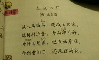 我吹着孤独的风什么含义，其实这首歌的真正含义