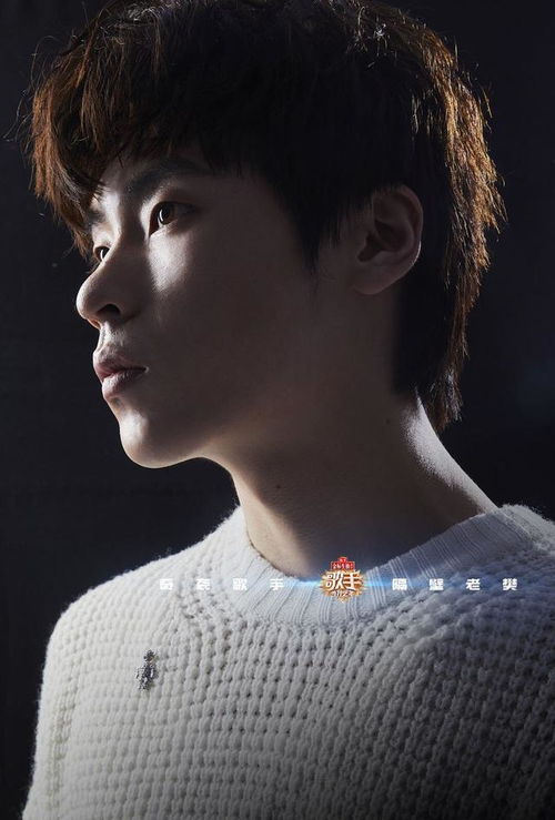 成熟男人低沉沧桑的歌,40岁男人必听十首歌