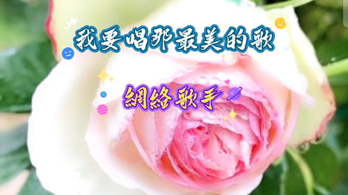 我们要唱那最美的歌曲，诗歌我要唱那最美的歌歌谱