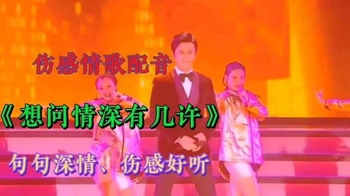 想问情深有几许dj版，情深几许dj