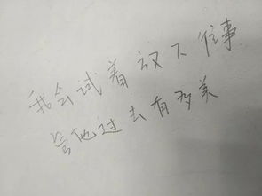 我会试着放下往事管它过去有多美,人生没什么不可放下