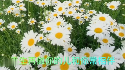 想念父母的催泪歌曲,献给天堂父亲的歌