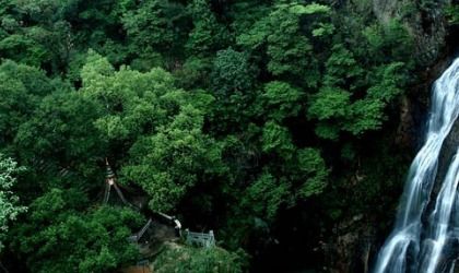 我也不想这么样表达什么情感,表达了作者什么样的感情