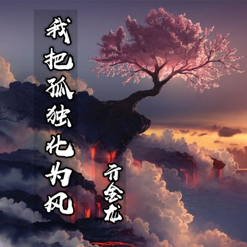 我吹的孤独的风是什么歌,这首歌表达了什么情感