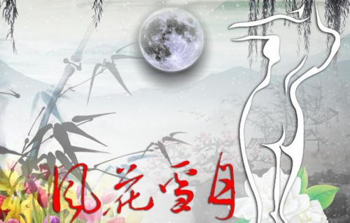 我叹那风花雪月是什么歌,我感叹风花雪月不问归期
