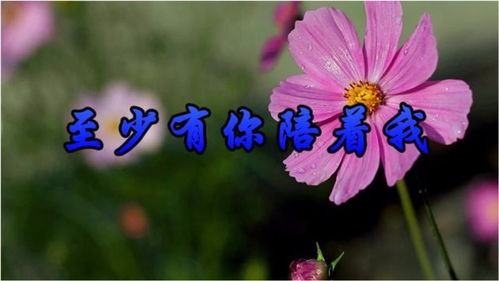 想送给最爱的人一首歌，送给最在乎的人一首歌