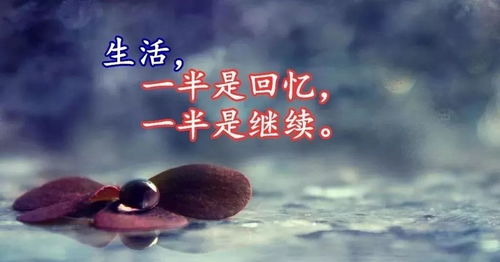 想见却不能见无奈的句子,句句不提想念字字皆是想念