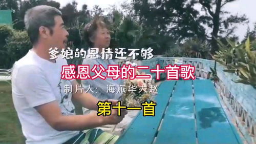 感恩父母的歌曲20首,网络最火唱给父母歌