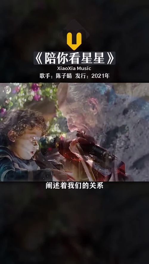 想陪着你追着日落看星星,陪你看星星陈子晴mp3下载