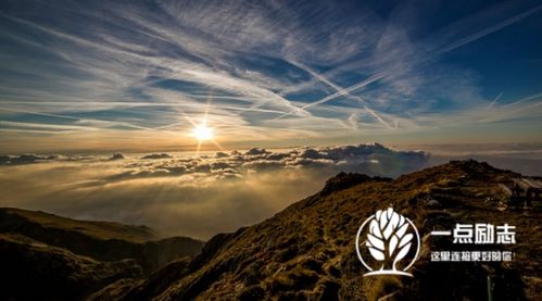 想起了你表达什么感情,关于想你的唯美句子