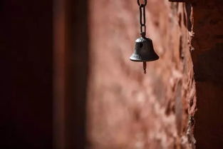 愿再可是什么意思,乘愿再来度众生什么意思