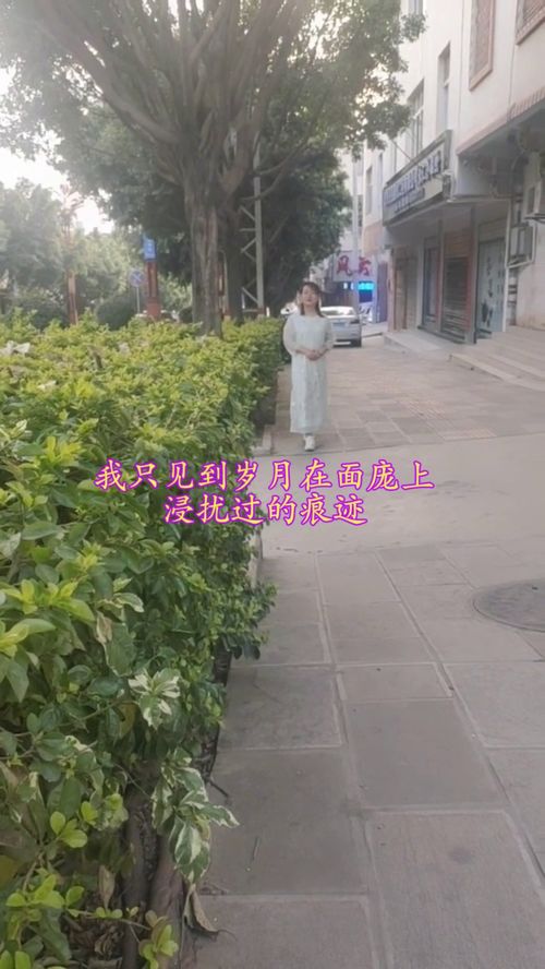 我会笑着对这个世界和解,我会笑着与这个世界和解歌词