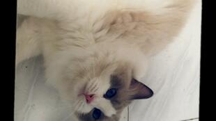 惹毛我的人有危险歌词,左勾拳右勾拳惹毛我的人有危险